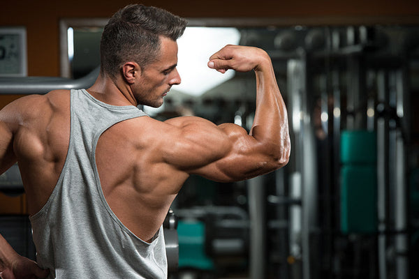 Can You Lose Fat and Gain Muscle at the Same Time? Body Recomposition Guide
