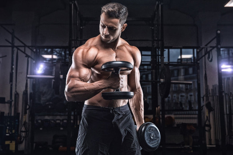 Long Head Bicep Exercises