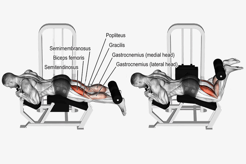 Hamstring Curls — 6 Variations to Spice Up Your Next Leg Day