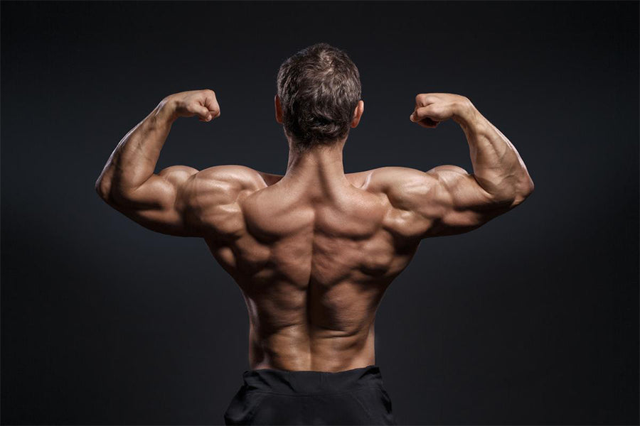 Diet Plan for Skinny Guys