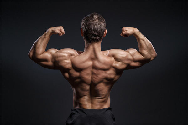 Diet Plan for Skinny Guys