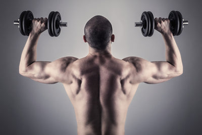 Transform Your Physique: Dumbbell Back Exercises You Can't-Miss