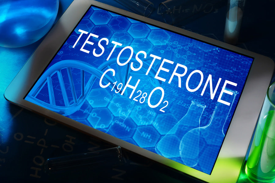 Importance of Testosterone in a Man’s Life