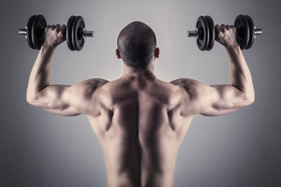 16 Dumbbell Back Exercises to Get a Perfectly Sculpted Back