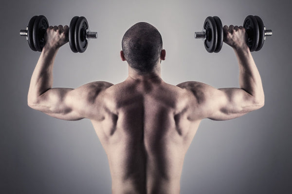 16 Dumbbell Back Exercises to Get a Perfectly Sculpted Back