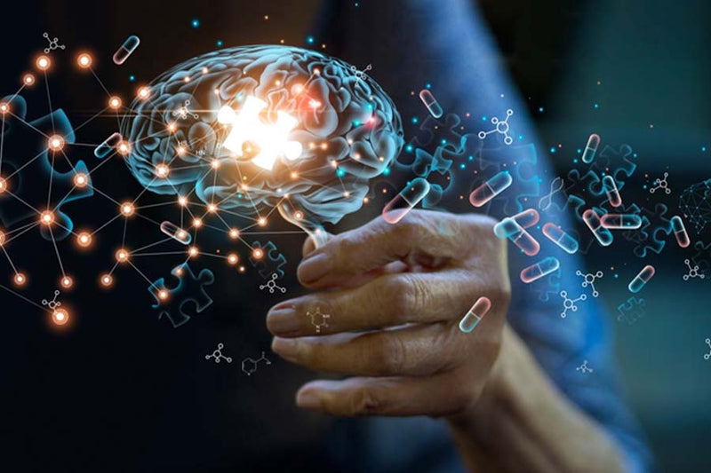 Brain Plaque Reduction Through Diet: Two Regimens Show Promise in Reducing Alzheimer's Risk