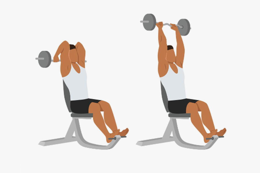 Seated French Press: Barbell Triceps Guide