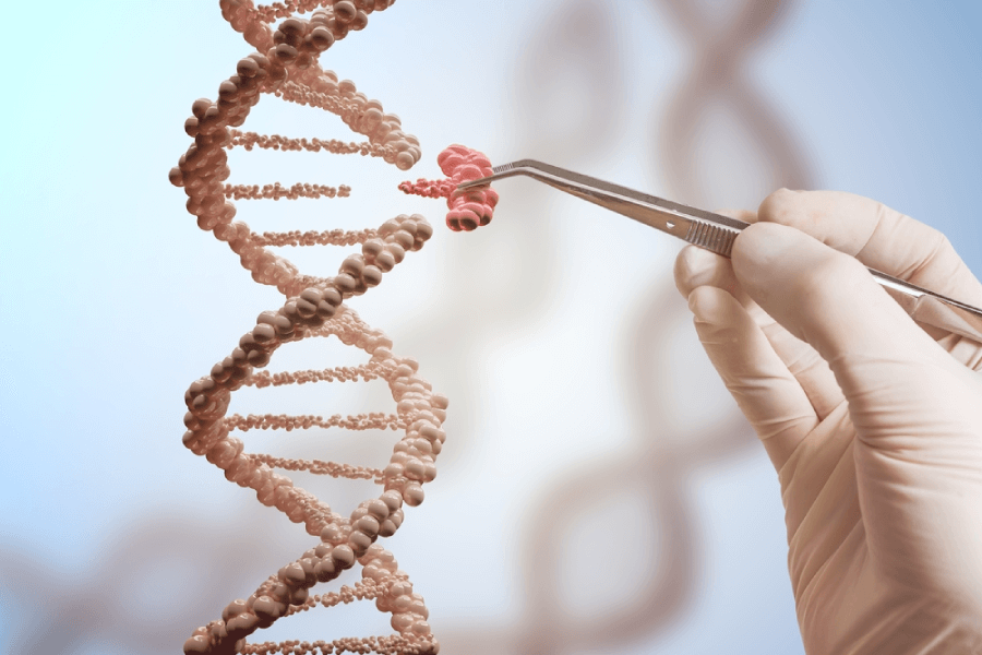 Ethical Debate Clouds Hope for Gene-Editing Treatment of Human Diseases