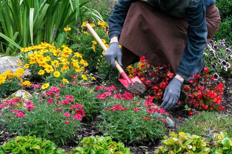 Bloom Away The Blues: Horticulture Therapy Shows Promising Results In Combating Depression Among Seniors!