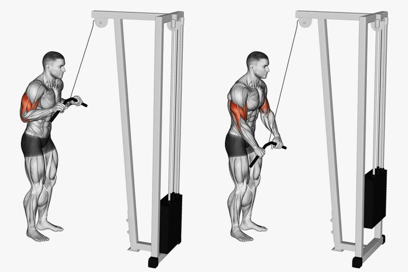 Cable Press Down 