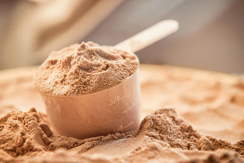 How Many Grams is in a Scoop of Protein Powder