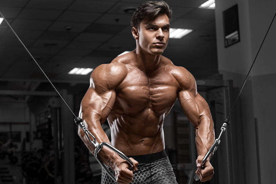 Chest Spring Out The Best Beginner-Friendly Chest Workouts for an Impressive Chest