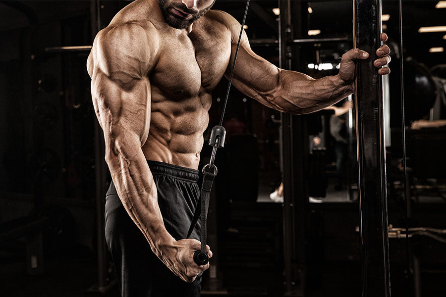 7 Most Effective Muscle-Building Exercises for Men