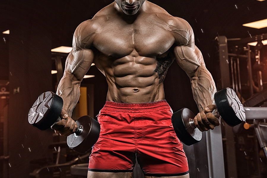 Maximize Muscle Growth Full Body Dumbbell Routine”