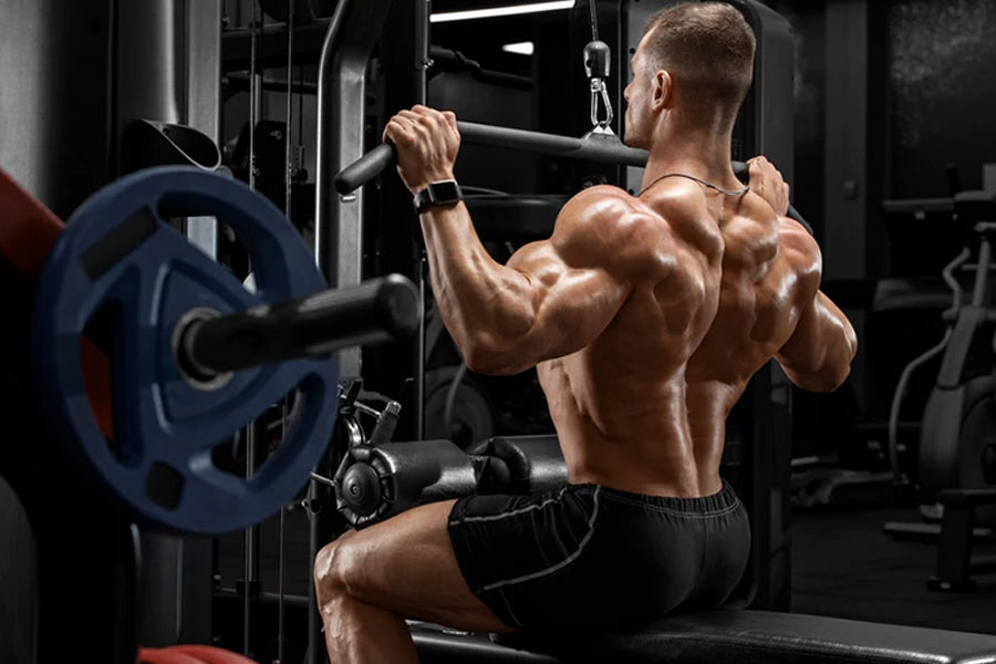 What Are Rear Deltoids: The Best Ways to Train Your Rear Delts