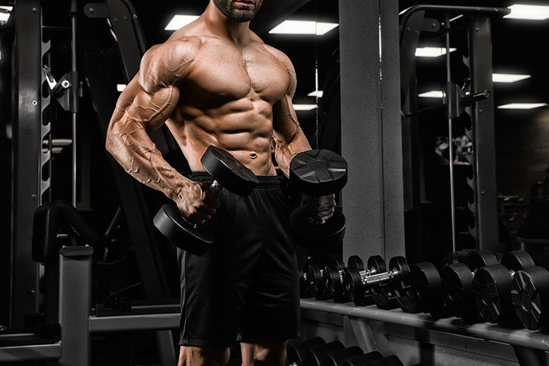 12 Reasons Why You Are Not Building Muscles
