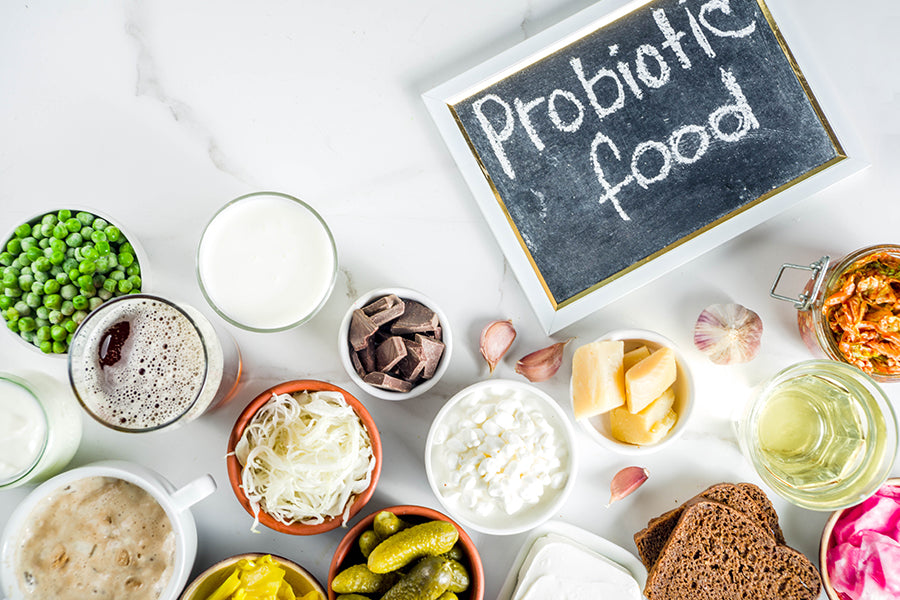 What Are the Signs You Need Probiotics & How to Help Your Gut