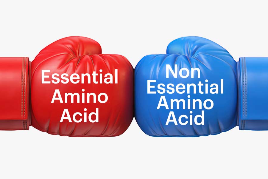 Essential Vs. Non-Essential Amino Acids: Let's Break It Down