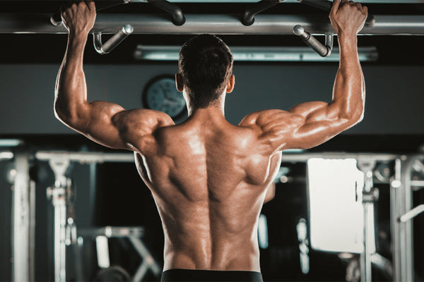 Lower Lat Exercises: 7 Best Moves for a Denser Back