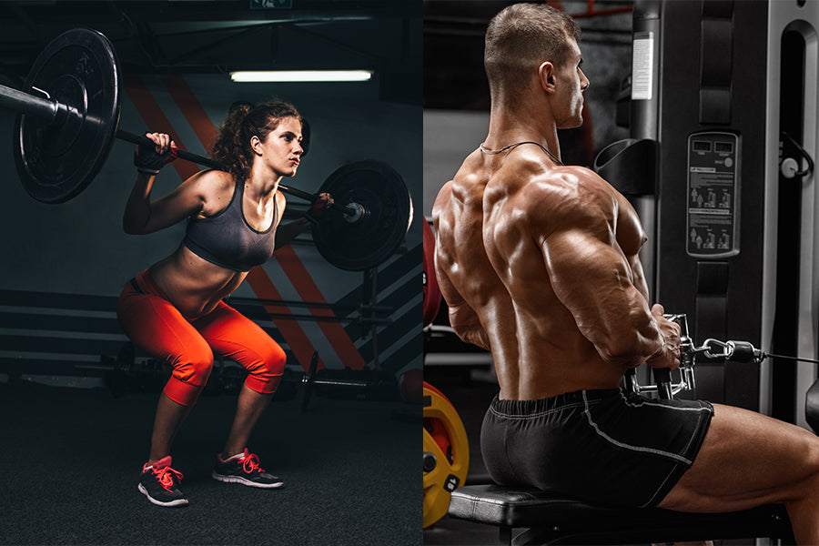 Compound Vs. Isolation Exercises: What’s the Difference & Which One is Better?