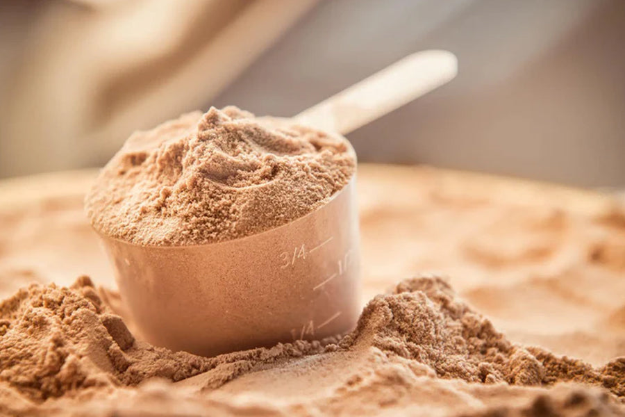 How Many Grams is in a Scoop of Protein Powder?