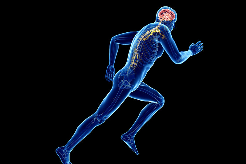 A Study Reveals Only 6 Minutes of Vigorous Exercise Daily Works Wonders for Your Brain Health