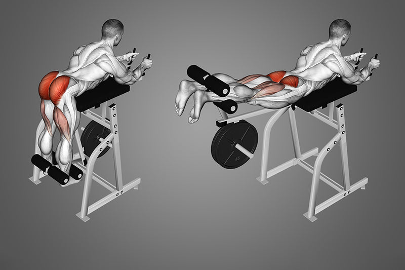How to Do the Reverse Hyperextension to Build a Bulletproof Posterior Chain