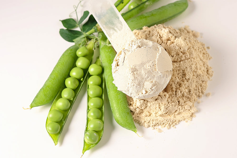 Plant-Based Protein Vs. Whey Protein: Which Should You Choose?