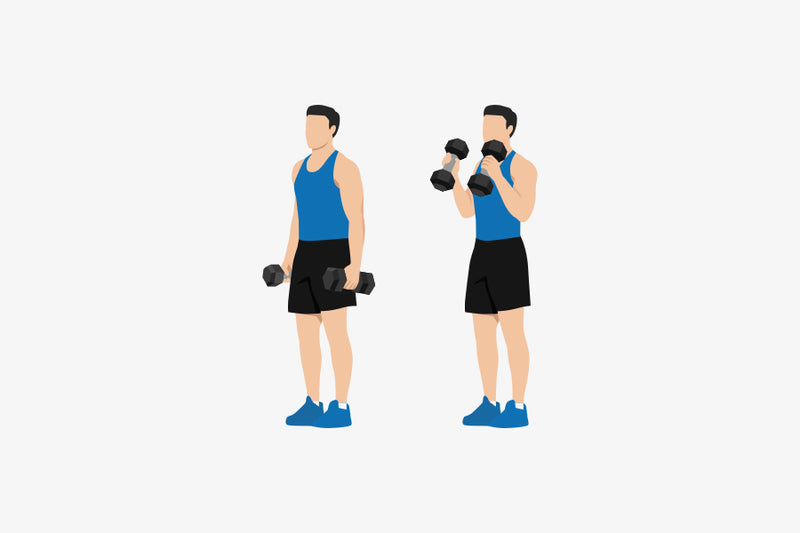 How to Do Hammer Curls: Proper Form, Variations, and More