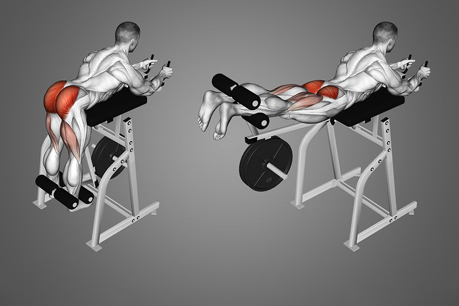 Open Chain Reverse Back Extensions Reverse Hyperextension Muscles Worked: Build Posterior Chain