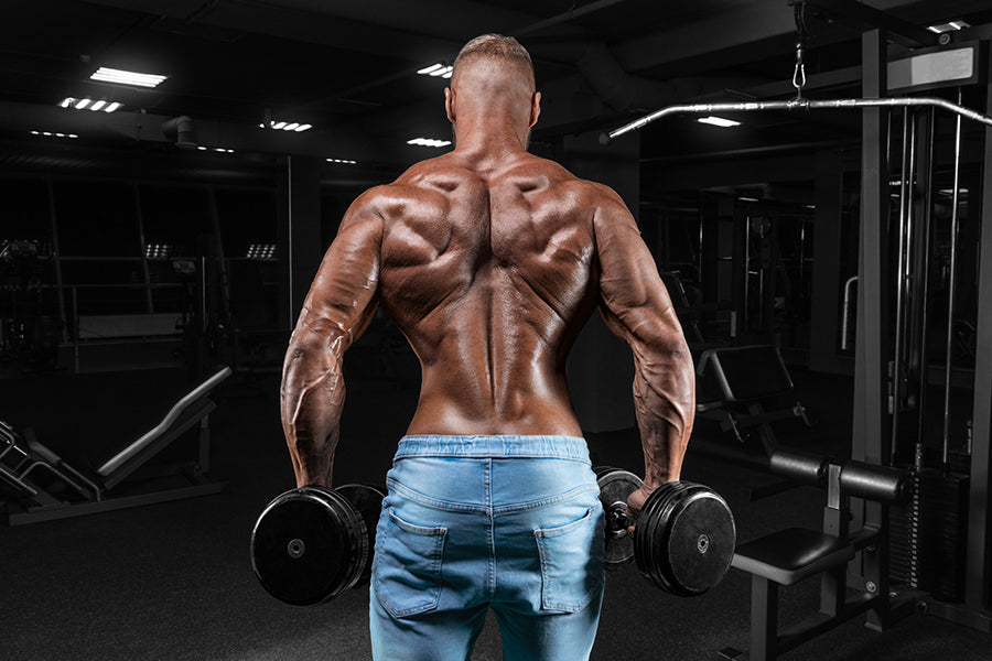 Shrugs Exercise — How to Do It to Build Big Traps & Strengthen Your Lifts