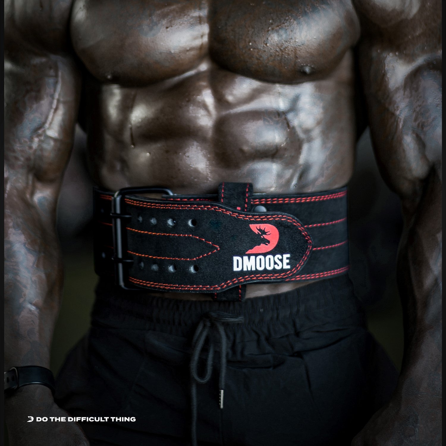 Alpha Designs BEAST Figure of 8 Lifting Straps Alpha Designs BEAST Figure of 8 Lifting Straps