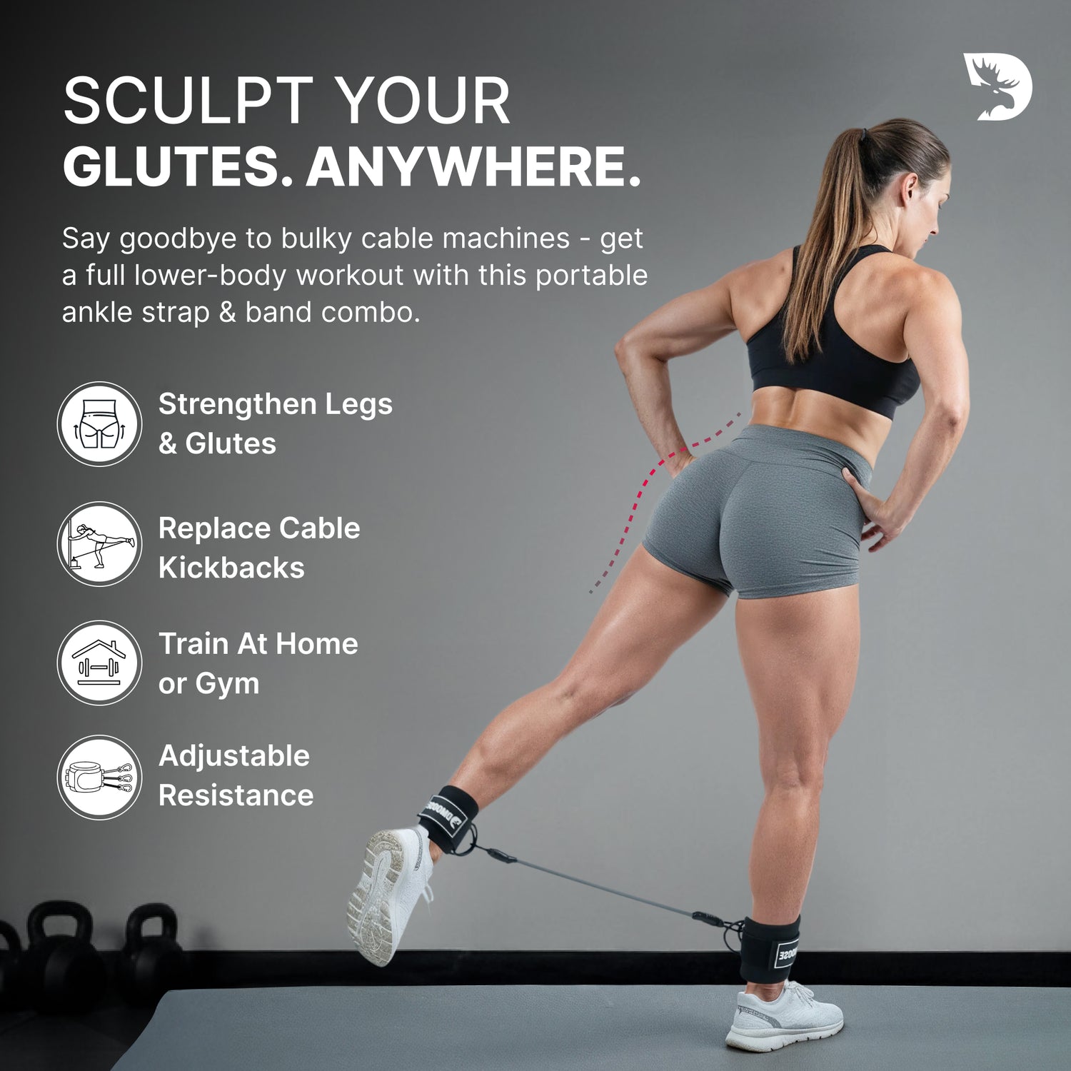 DMoose Ankle Straps & Resistance Bands Set