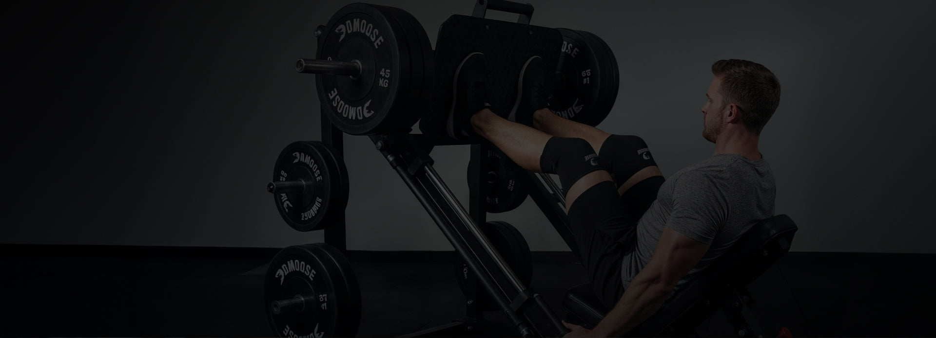 dmoose container image for home page