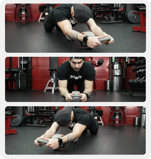 DMoose Ab Roller