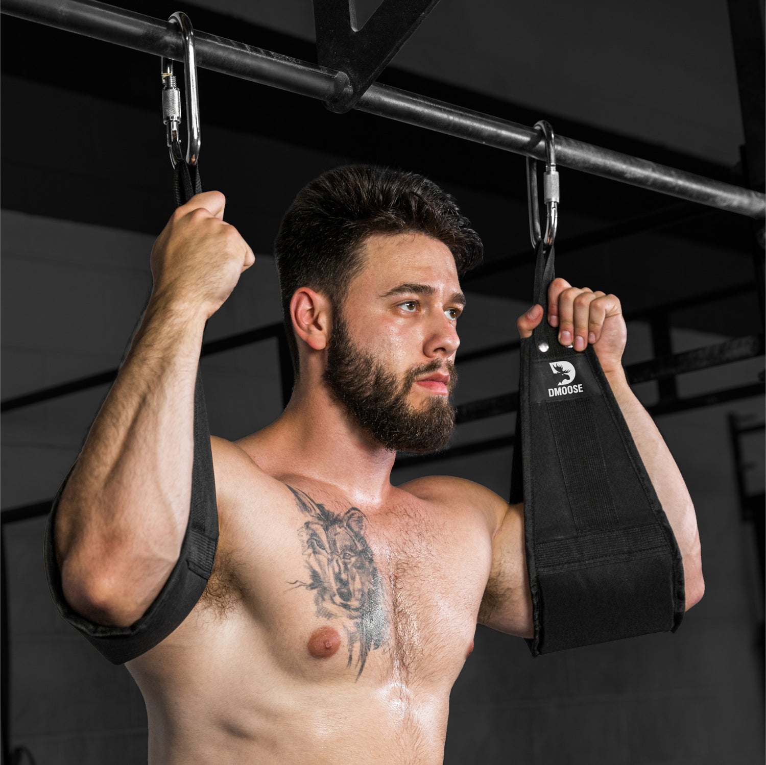 DMoose Premium Ab Straps