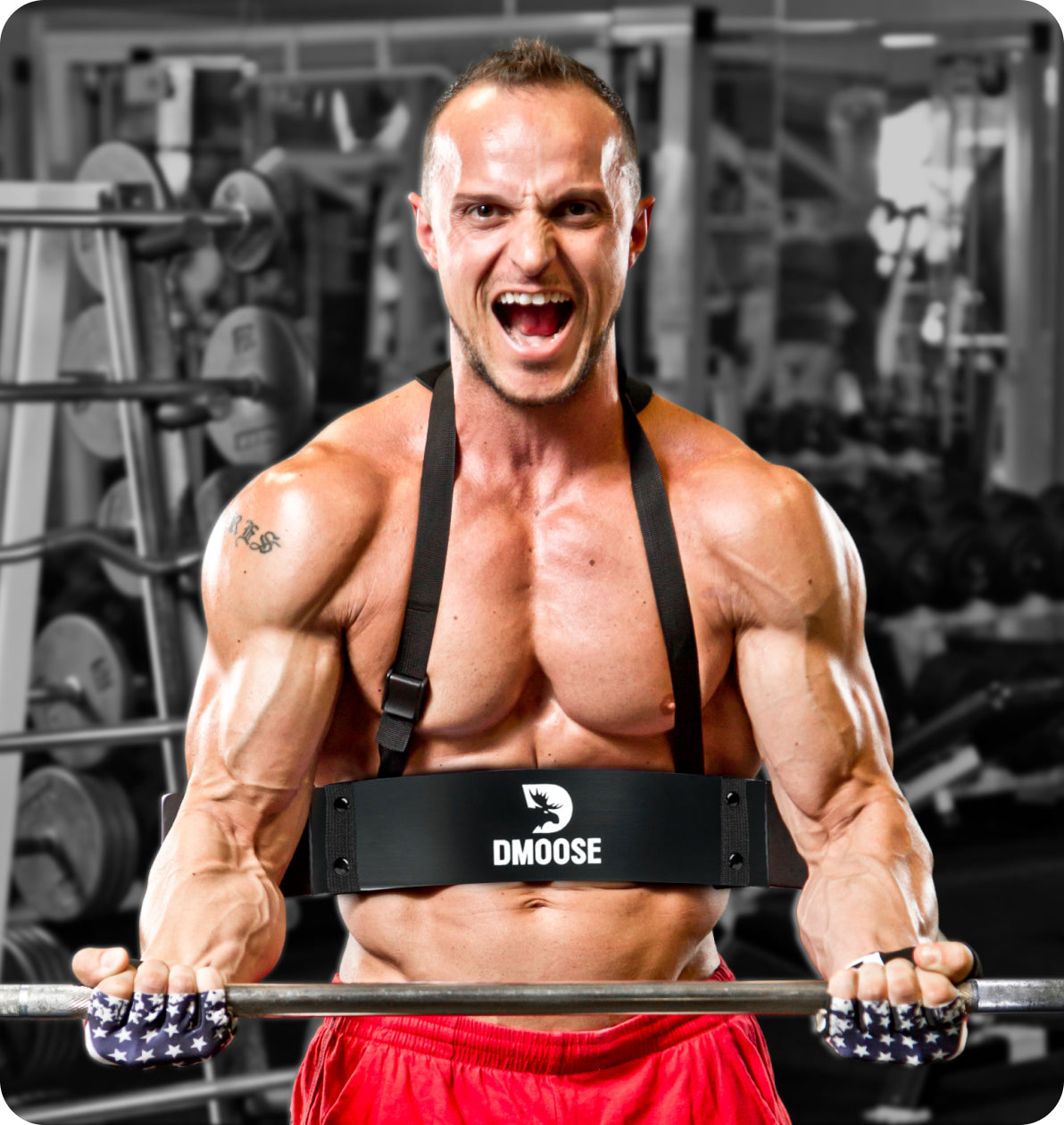 Ez Bar 21s Exercise Biceps 13+ Thousand Bicep Curl Royalty-Free