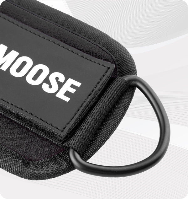 Ankle Straps for Cable Machines