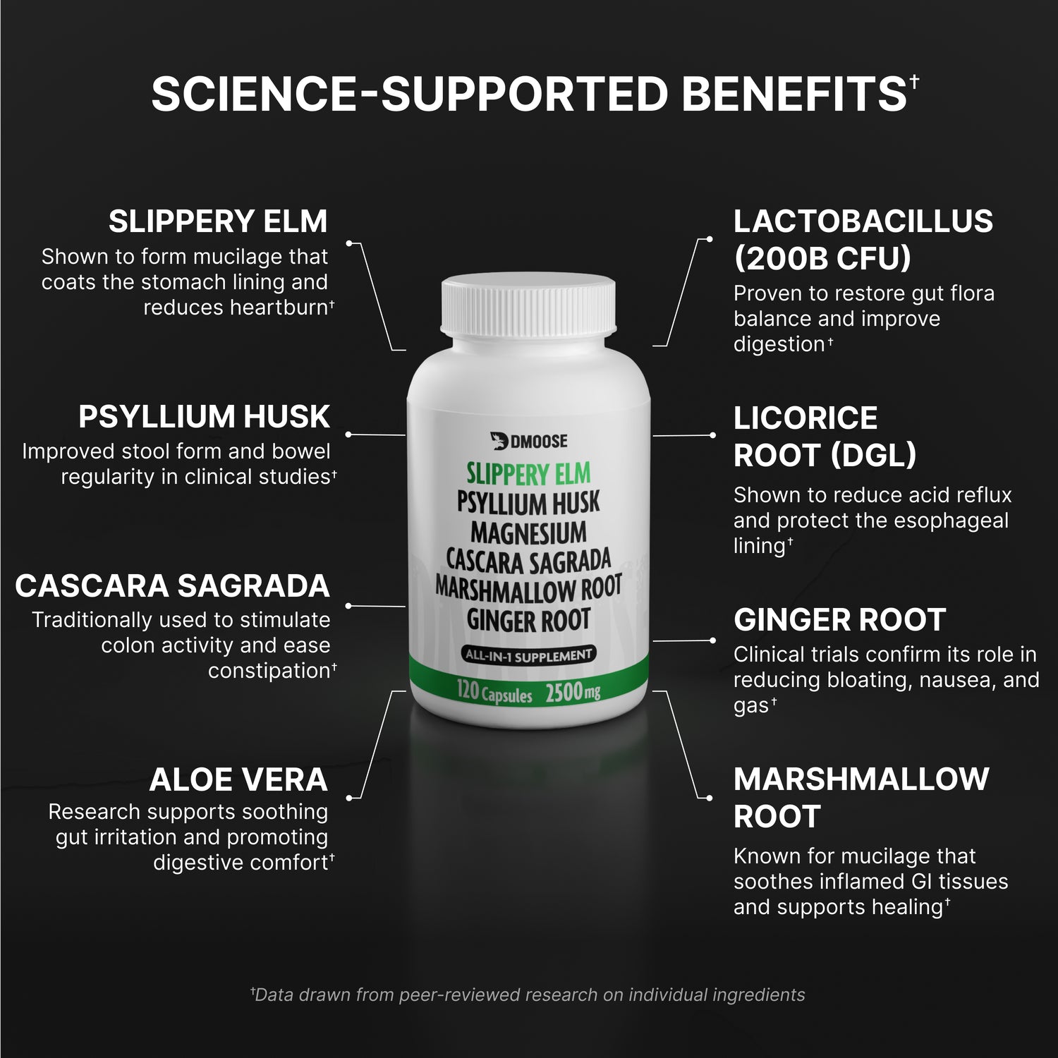 DMoose Slippery Elm Complex
