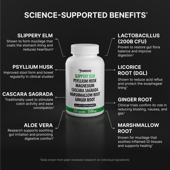 DMoose Slippery Elm Complex