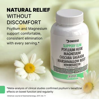 Slippery Elm for Digestive Comfort & Gut Wellness