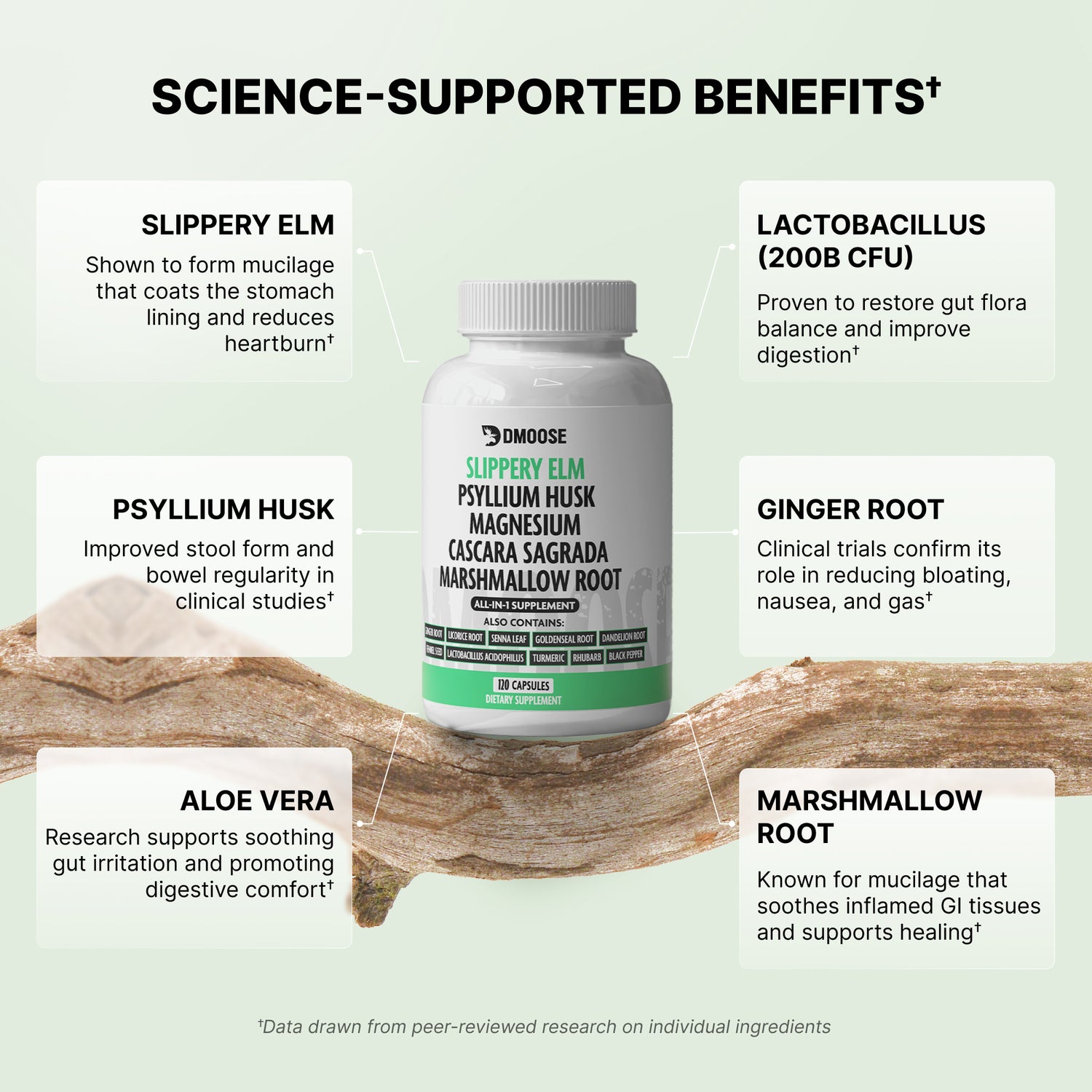 DMoose Slippery Elm Complex