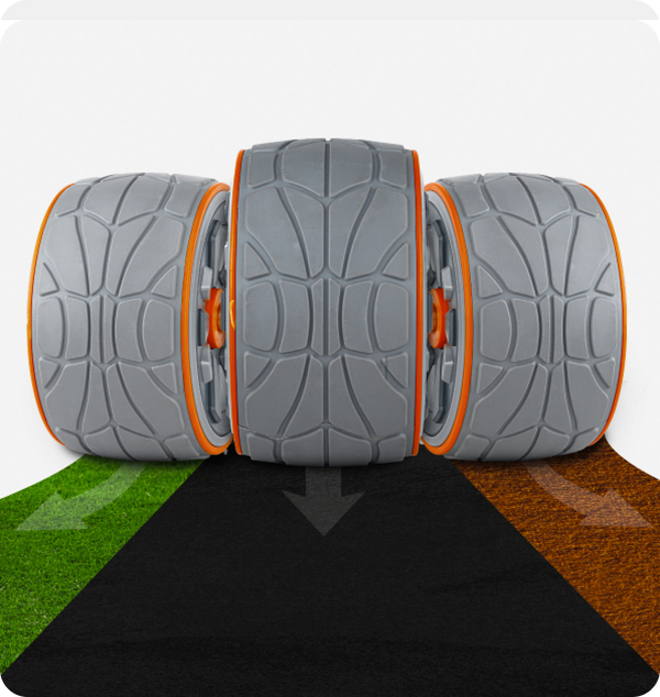 DMoose Ab Roller
