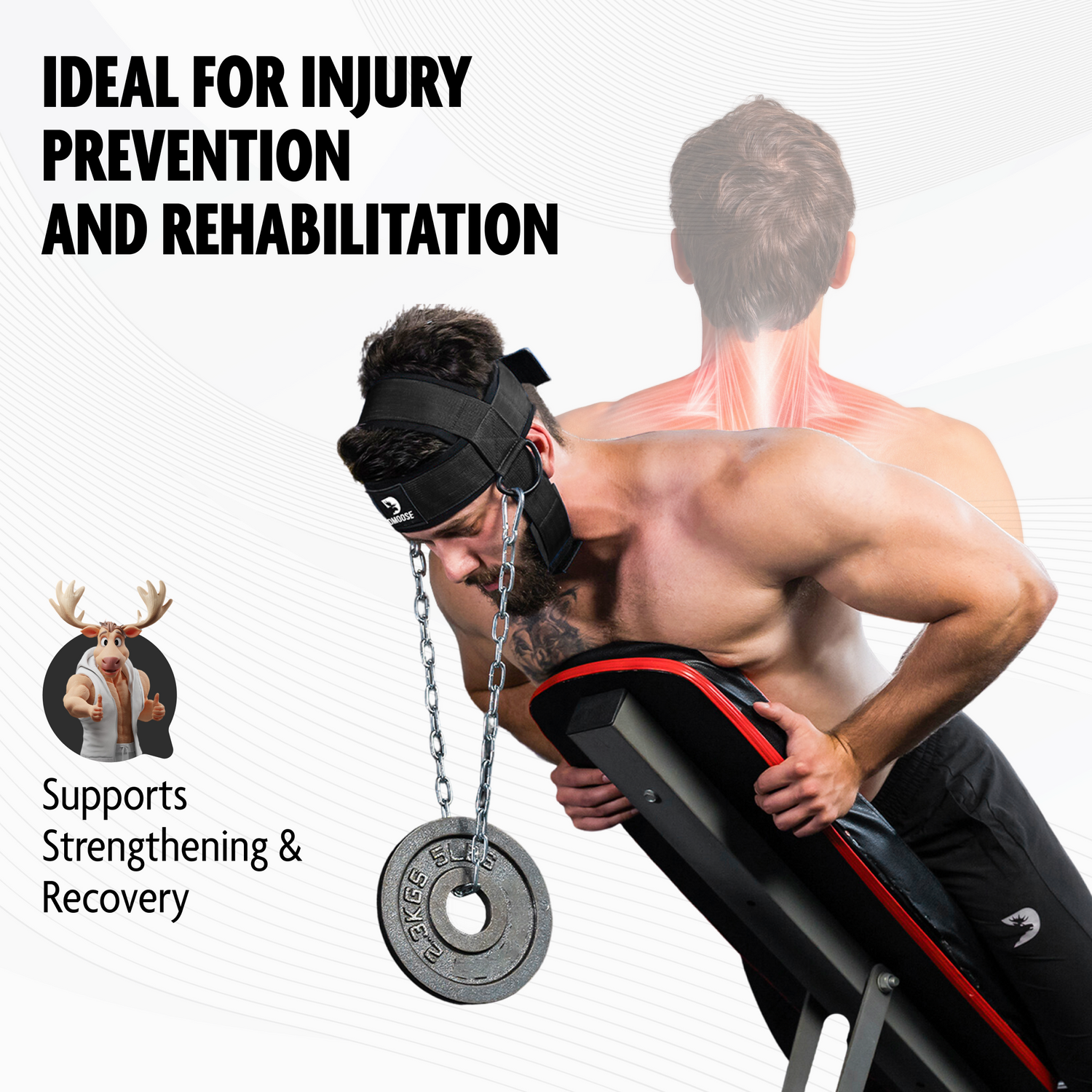 DMoose Neck Head Harness Build Neck Strength Stability