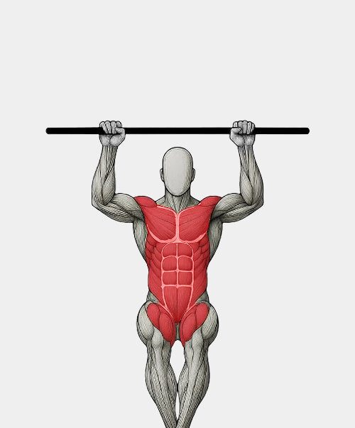 Anatomy illustration of a hanging leg raise on the doorway bar, front view, with the abs and hip flexors highlighted in red